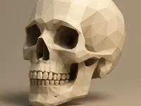 Crâne low poly (domaine public) — photo 1