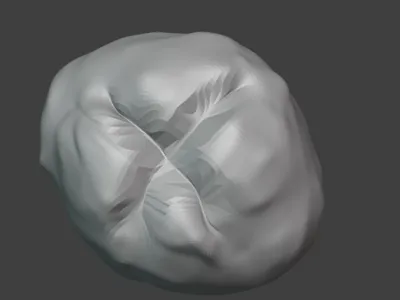 Sourdough bread model