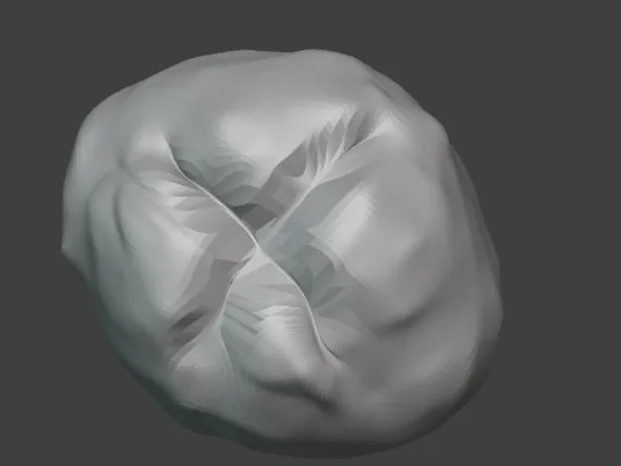 Sourdough bread model