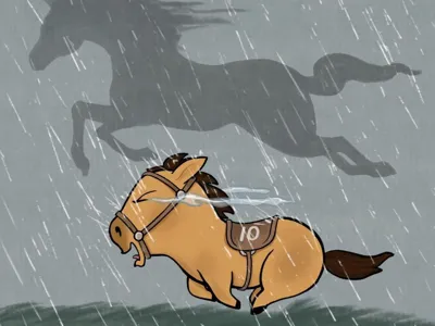 Horse deadline VTV Vietnam 2025