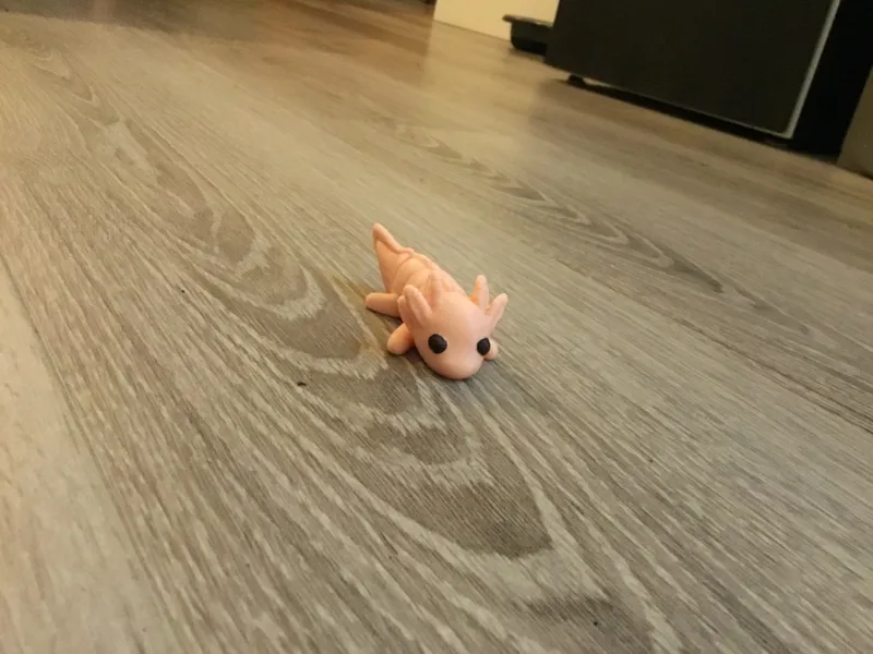 Flexi axilotle