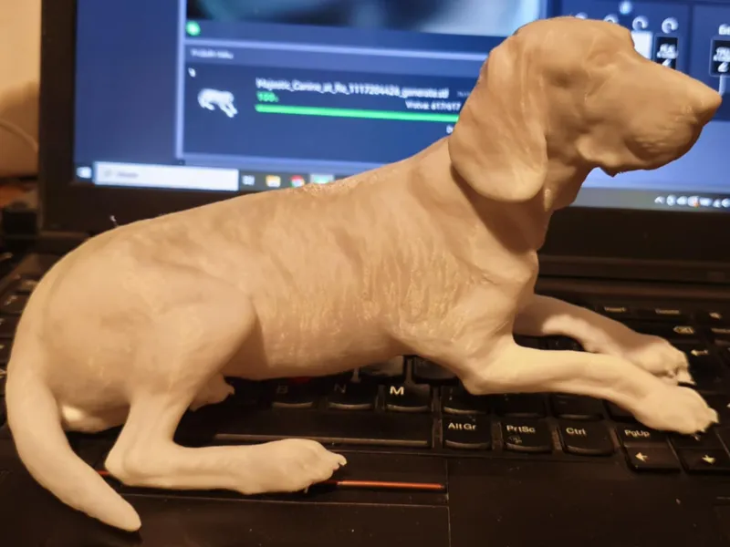 Some dog :)