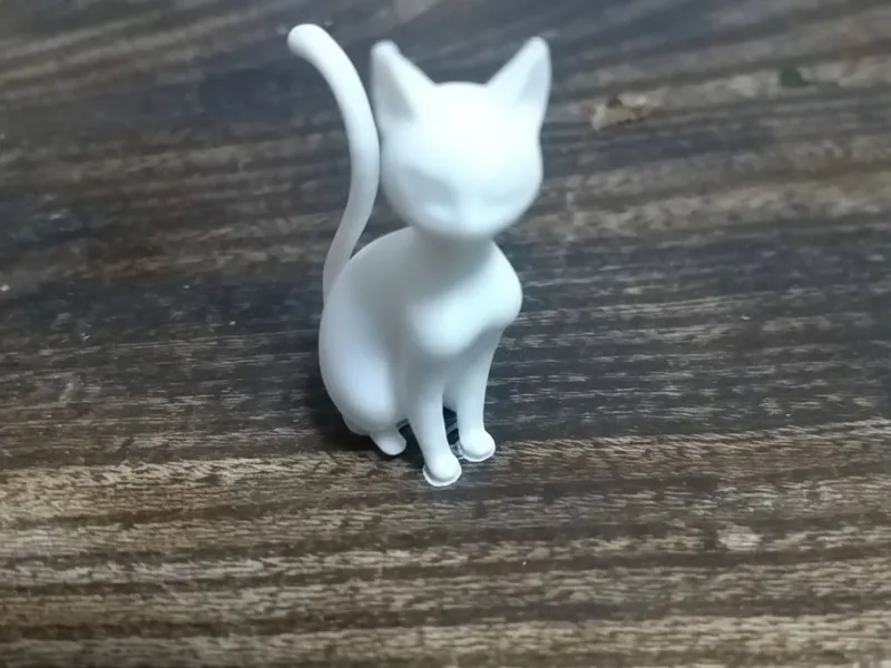 猫の名前はソラです