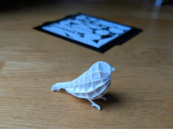 https://makerworld.bblmw.com/makerworld/model/DSM00000002035924/design/2025-11-24_087d1950ad0078.jpg