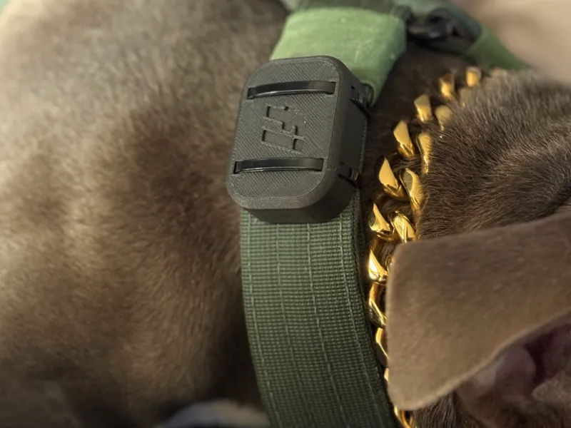 FI Mini Dog GPS Case and Mount