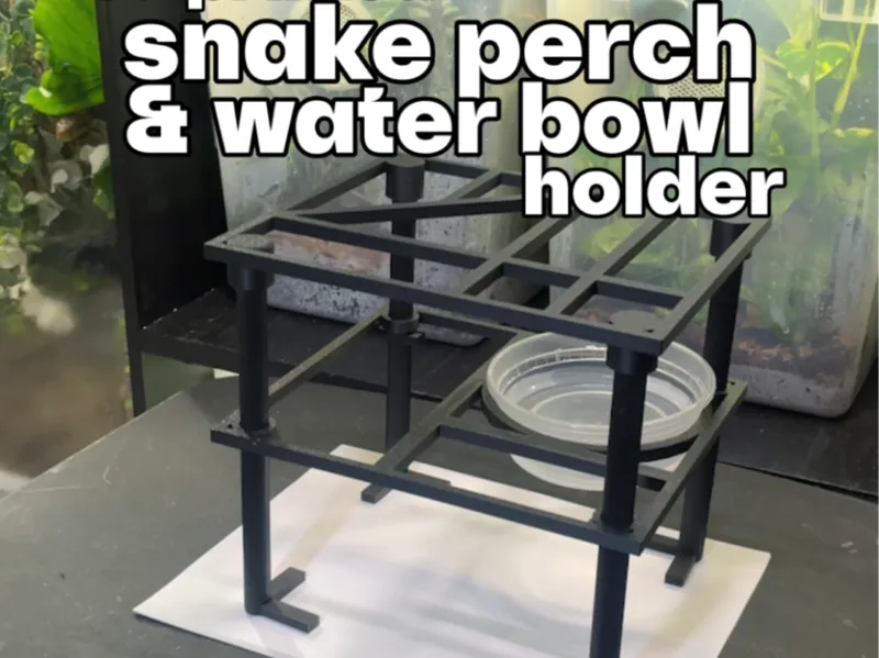 Reptile Perch & Water Bowl Holder -Arboreal Snakes