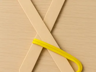 Slapordootile