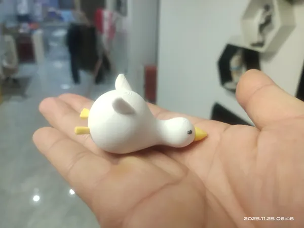 https://makerworld.bblmw.com/makerworld/model/DSM00000002038813/design/2025-11-25_4dc5bab4563a78.jpg