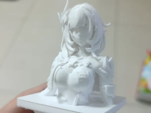https://makerworld.bblmw.com/makerworld/model/DSM00000002039190/design/2025-11-25_b79ba86c069ae.jpg