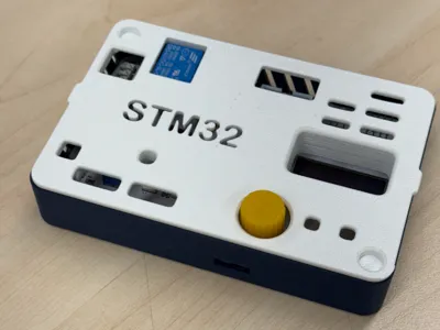 Keysking STM32 Development Board Storage Protective Case