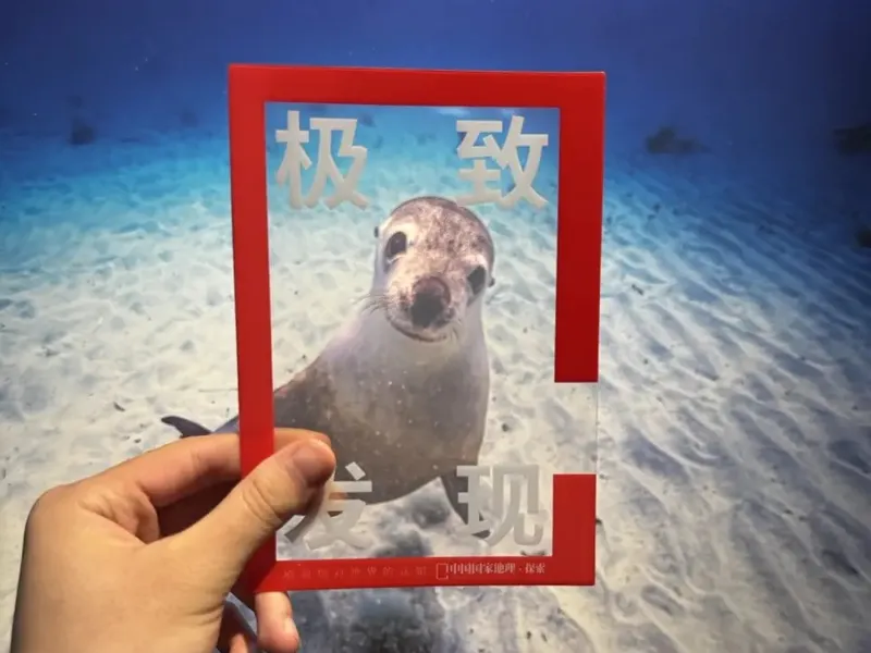 中国国家地理 | 极致发现 拍照打卡相框