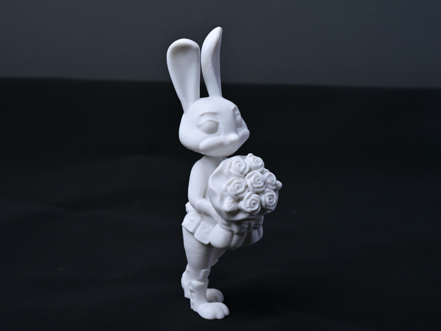 抱花朱迪