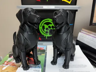 Robot Dog Mechanical Dog