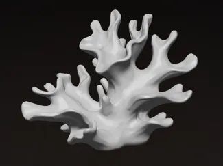 珊瑚戒指架Coral ring holder