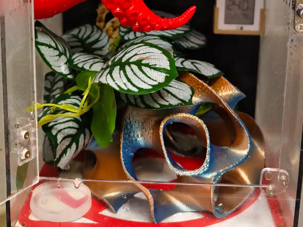 https://makerworld.bblmw.com/makerworld/model/DSM00000002046738/design/2025-11-27_e4548a28f2f16.jpg