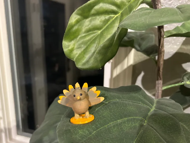 Cute turkey