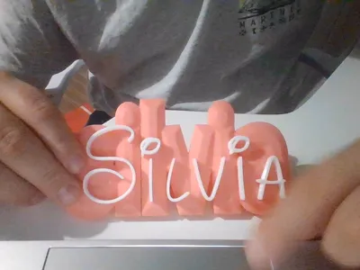Silvia Disney letter