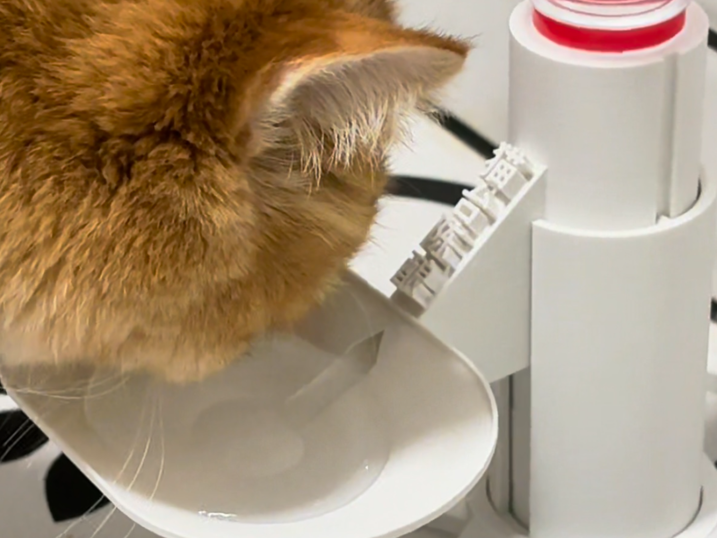 “猫台陈酿”猫咪宠物饮水器（可调节增高）