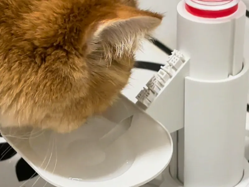 “猫台陈酿”猫咪宠物饮水器（可调节增高）