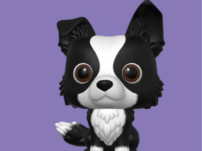 Border Collie