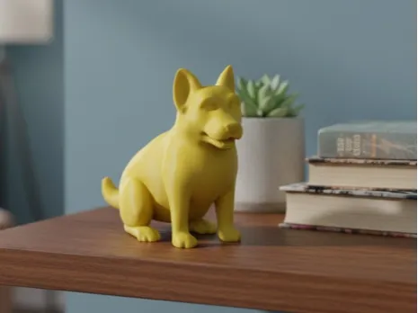 Shelf Dog