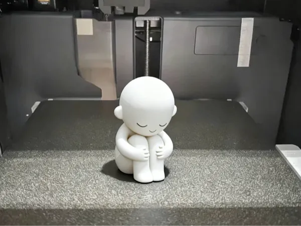 https://makerworld.bblmw.com/makerworld/model/DSM00000002050515/design/2025-11-28_b1cd6d4ff00688.png