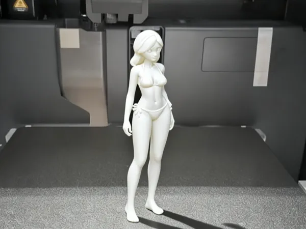 https://makerworld.bblmw.com/makerworld/model/DSM00000002050574/design/2025-11-27_bbc8dd5e92011.png