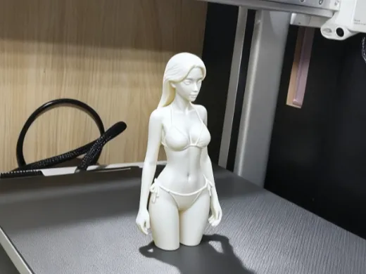 https://makerworld.bblmw.com/makerworld/model/DSM00000002050583/design/2025-11-27_f804b2fef9427.png