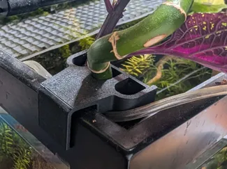 Pothos Pal V2 - Aquarium/Riparium Pothos Holder