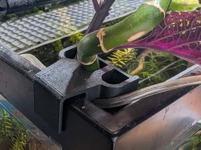 Pothos Pal V2 - Aquarium/Riparium Pothos Holder