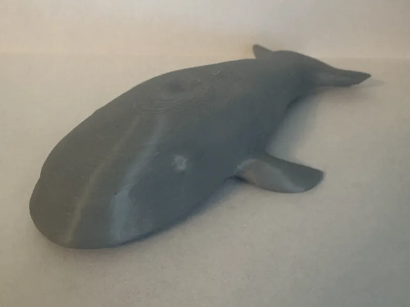 Whale