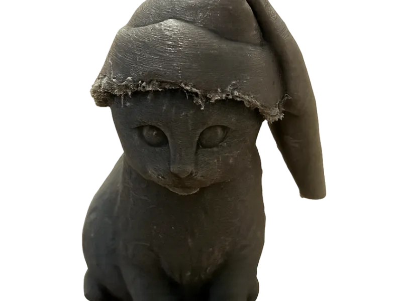 Christmas cat
