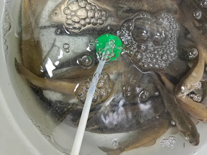 抽水泵软管打氧气头