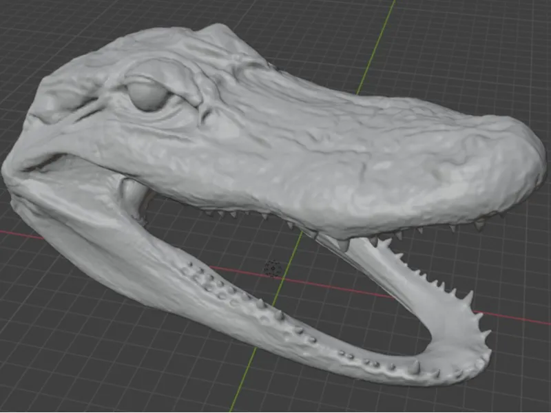 Cayman Aligator