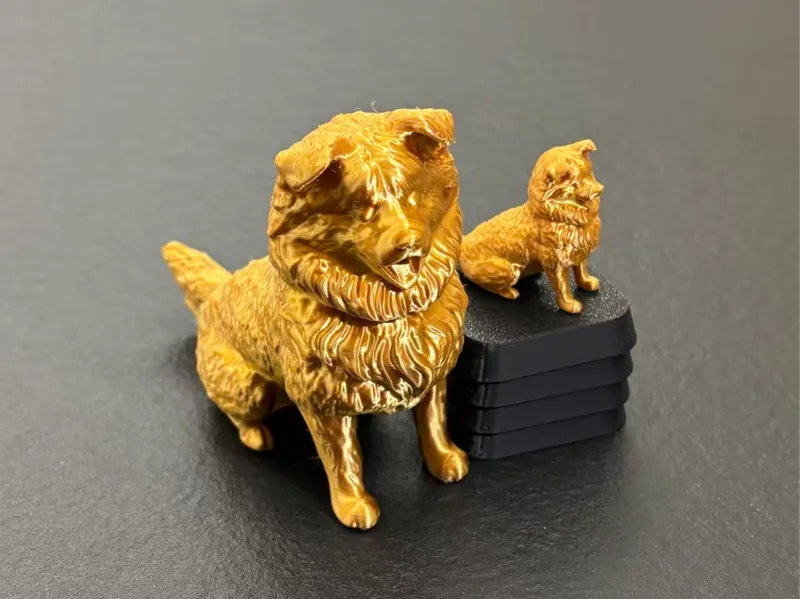 小狗面包金狗bell