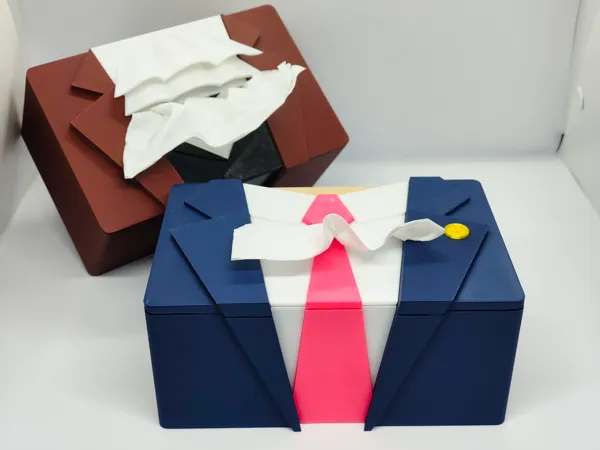 https://makerworld.bblmw.com/makerworld/model/DSM00000002055275/design/2025-11-29_5cd793586154a8.jpg