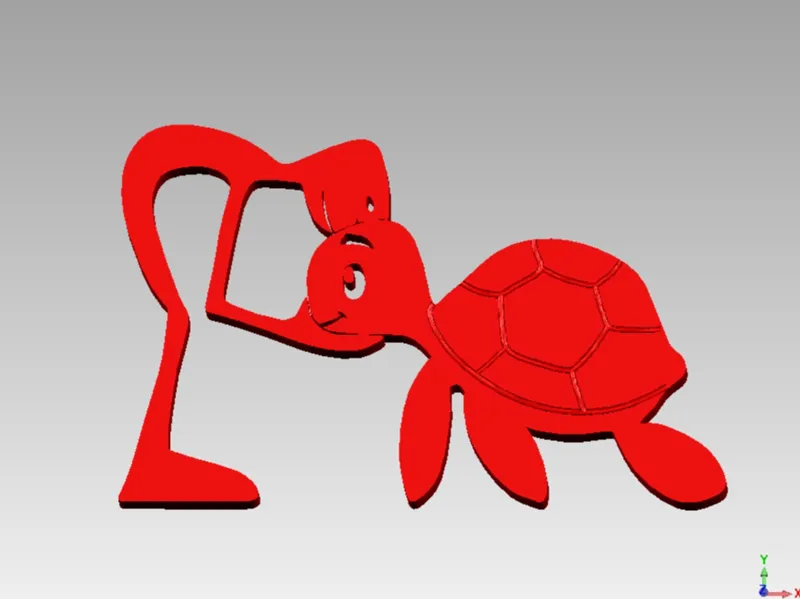 Turtle and Human