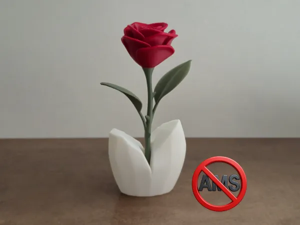 https://makerworld.bblmw.com/makerworld/model/DSM00000002055981/design/2025-11-29_18eb22817e6a.jpg