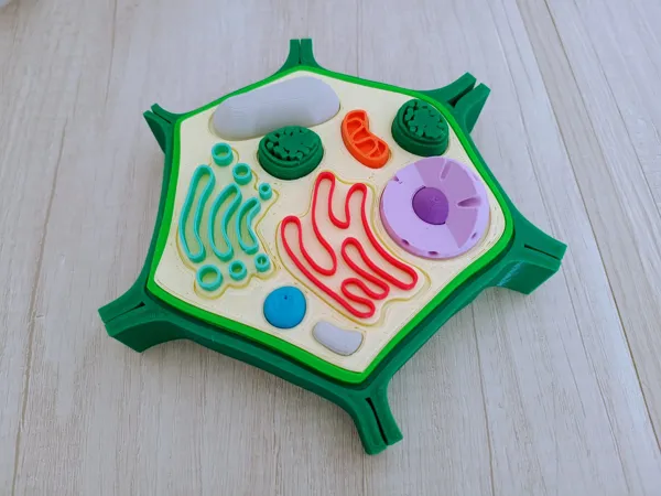 https://makerworld.bblmw.com/makerworld/model/DSM00000002056851/design/2025-11-30_lwvu9zh73wup.jpeg