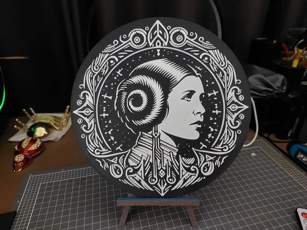 https://makerworld.bblmw.com/makerworld/model/DSM00000002057203/design/2025-11-30_ra8m6j9q4yd4.jpg