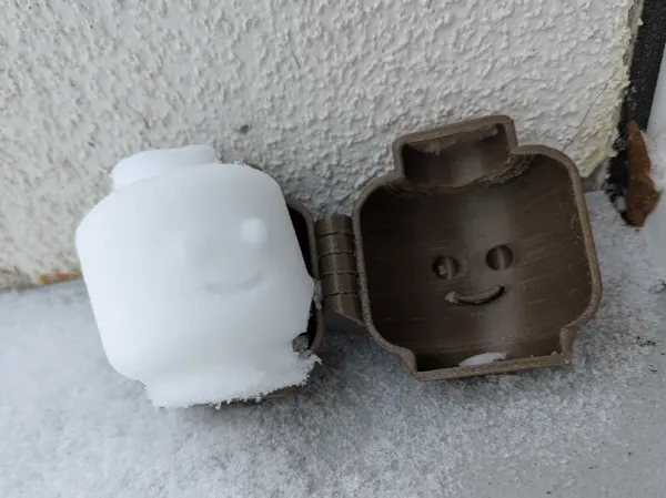 https://makerworld.bblmw.com/makerworld/model/DSM00000002057335/design/2025-11-29_41b00f43e43498.webp