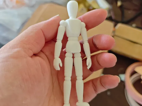 https://makerworld.bblmw.com/makerworld/model/DSM00000002058483/design/2025-11-30_e1cd25185aece.jpg
