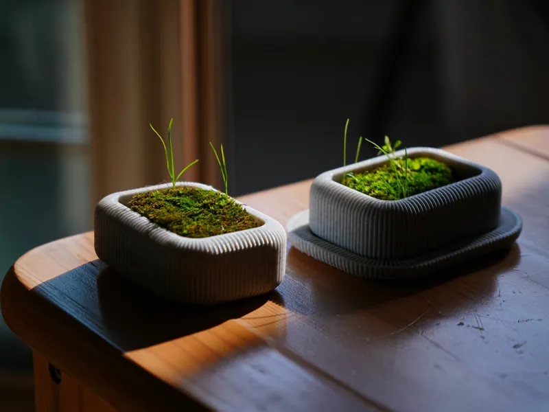 桌面苔藓花盆