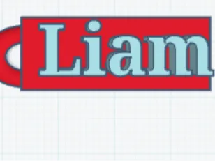 "Liam" keychain 