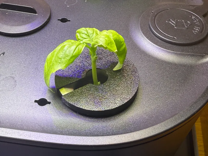 Seed Pod Cover