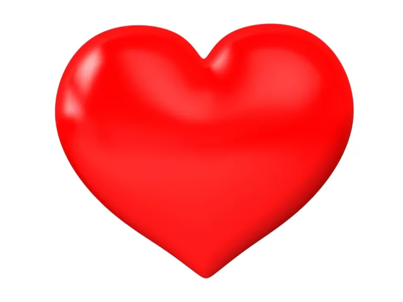 brahim heart