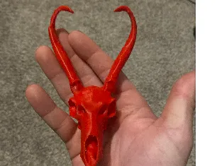 Antelope skull
