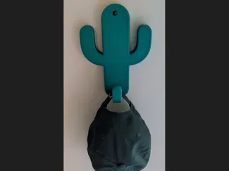 Cactus Hanger