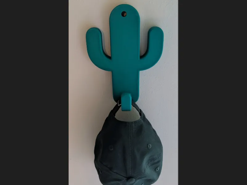 Cactus Hanger