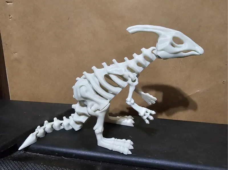 Articulated dinosaur skeleton 